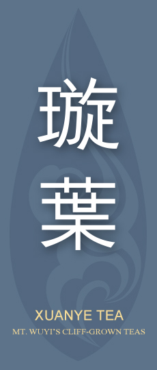 璇叶-容若